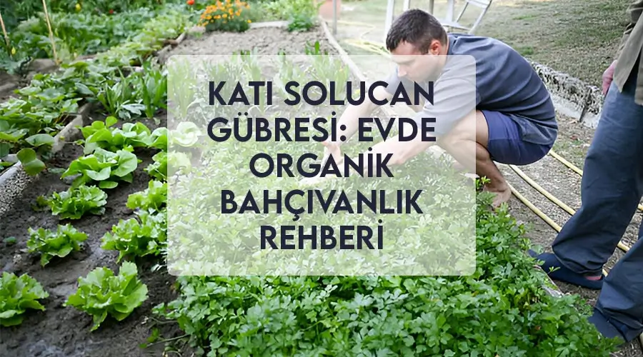 Katı Solucan Gübresi: Evde Organik Bahçıvanlık Rehberi