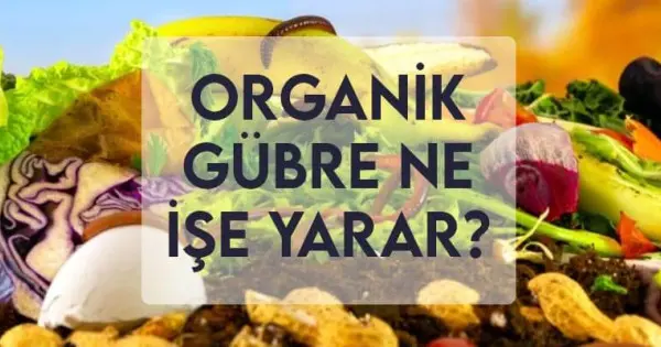 10 5 40 gübre ne ise yarar