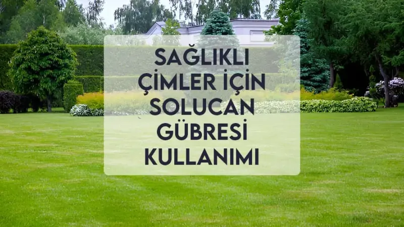 Sağlıklı Çimler için Solucan Gübresi Kullanımı