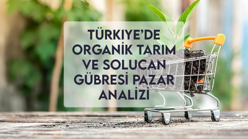 Türkiye’de Organik Tarım ve Solucan Gübresi Pazar Analizi